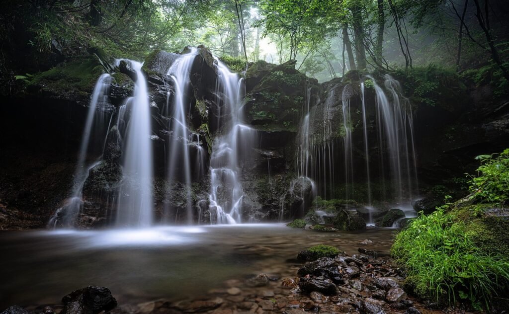 landscape, a small waterfall, natural, beech forest, fog, nature, plant, water flow, moss, rock, hyogo prefecture, japan