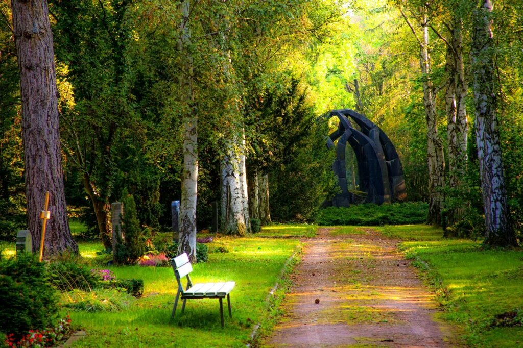 Serene pathway through a forested cemetery area with stone monuments and benches.